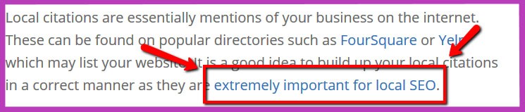 Anchor text backlinks