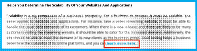 Anchor text backlinks