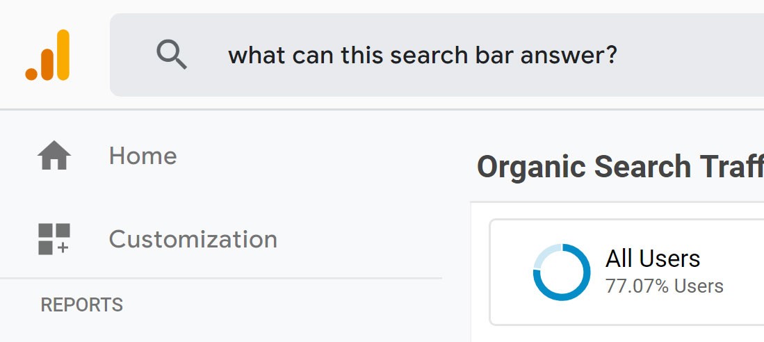 Google Analytics audience