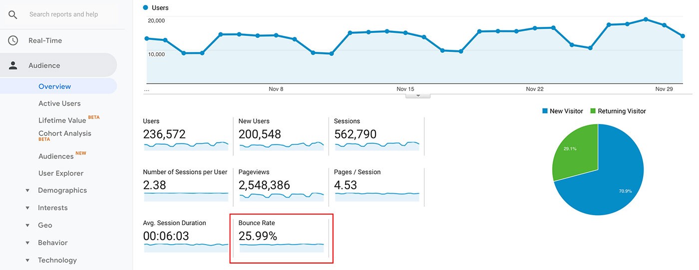 Google Analytics audience