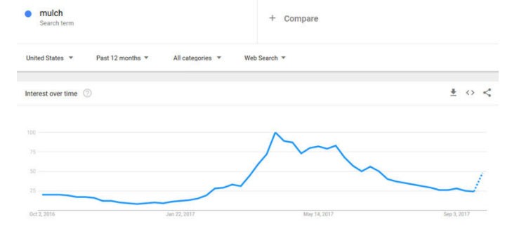 Google: The Ultimate Keyword Research Tool