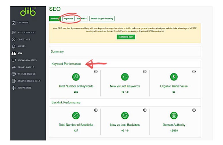 related keywords