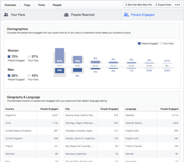 What is a Blog Statement Analysis?