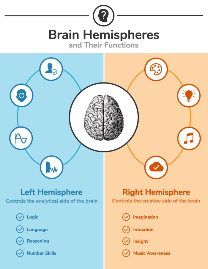 Infographics: Most Popular Types for Small Businesses