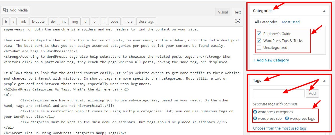 What are WordPress Tags and How to Best Use Them?