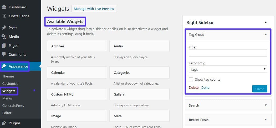 What are WordPress Tags and How to Best Use Them?
